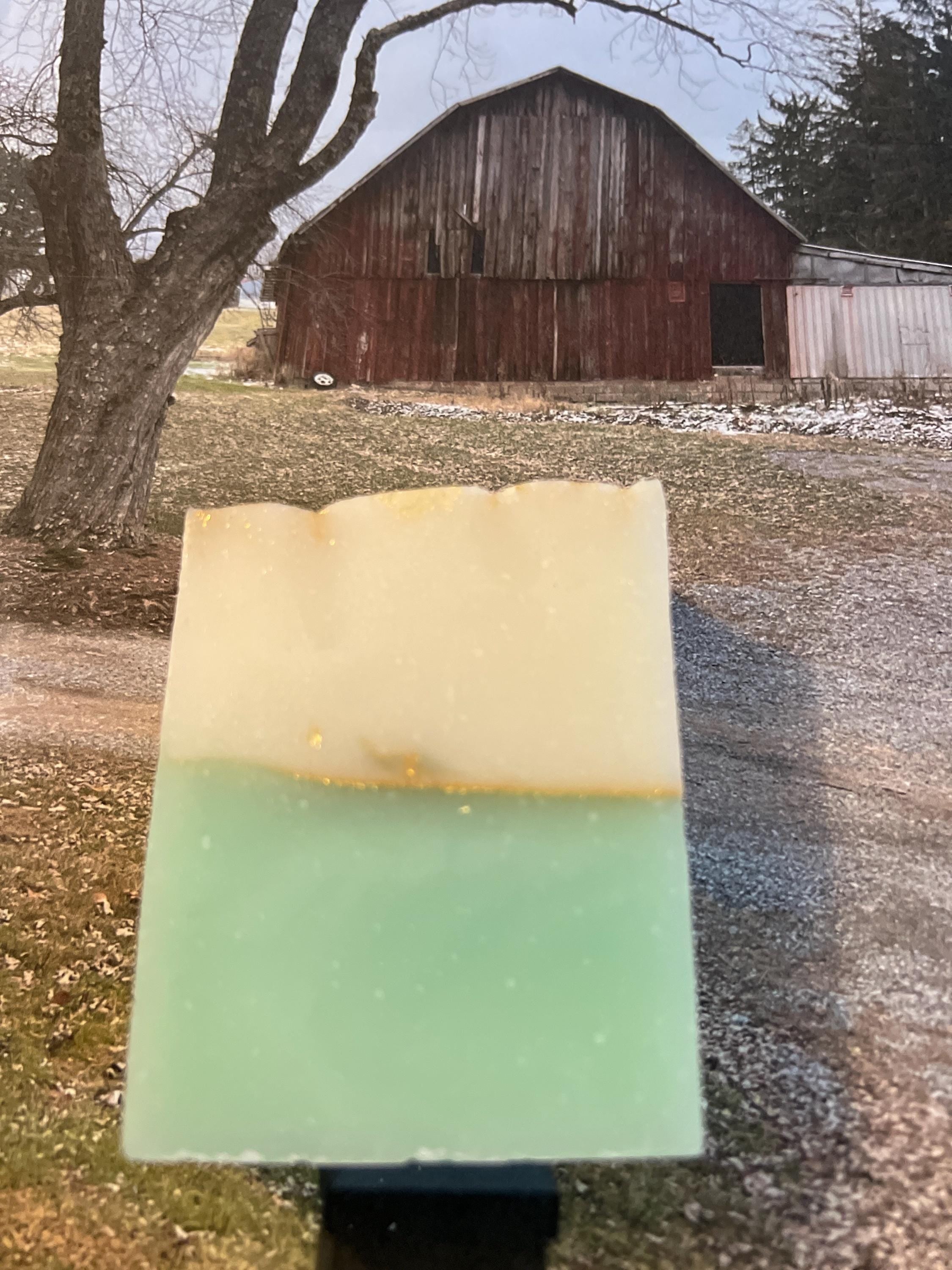 Handmade Beef Tallow Soap: Peppermint Eucalyptus Scent