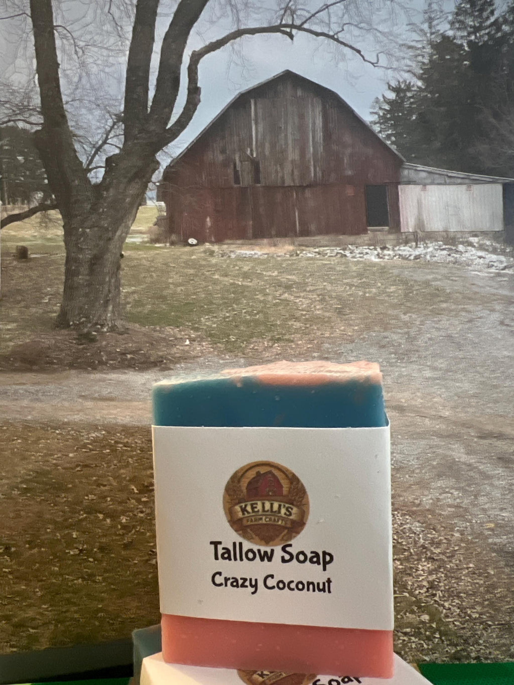 Crazy Coconut Beef Tallow Soap